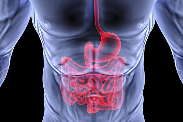 Gastroenterology-Hospitals-in-Bangalore-Best-Gastroenterology-Hospitals-in-Bangalore