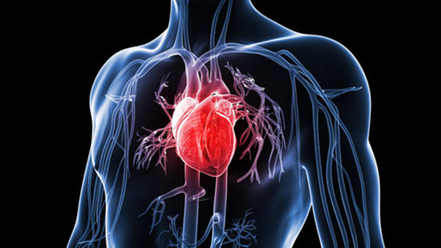 Heart-diseases-india