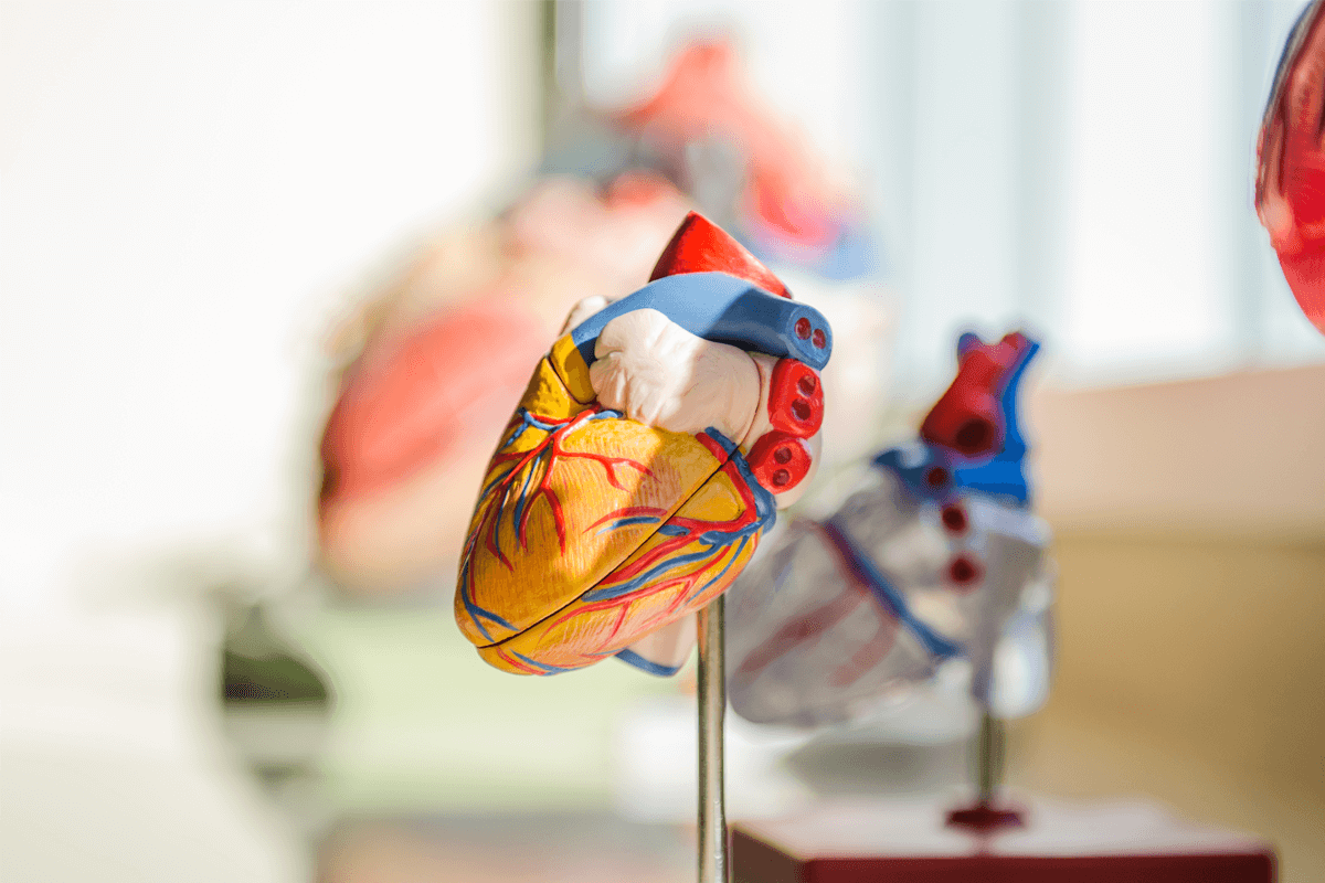 heart-Hospital-in-india